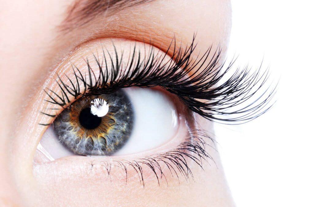 Get Beautiful Brows and Lashes in Brookmans Park