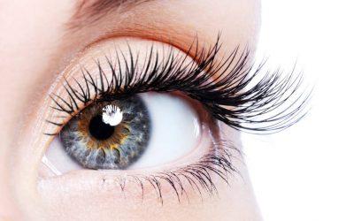 Get Beautiful Brows and Lashes in Brookmans Park